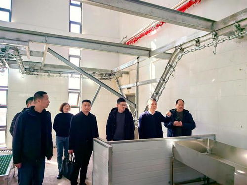 浙江省畜牧農機發(fā)展中心赴寧海檢查家畜定點屠宰廠GMP建設情況