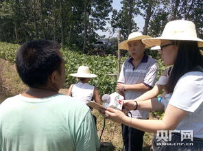 廣播惠農暖人心 中國鄉村之聲與仙桃人民廣播電臺攜手開展災后助農行動